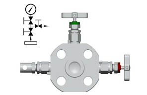 JJ - process single flange valve